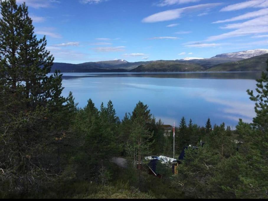 Cozy Cabin With A Great View Skamdal Exteriör bild